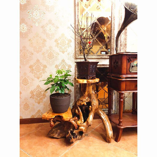 Natural root carving stand base log living room Chinese bonsai fish tank stand solid wood tree root art balcony ornament antique red 16863
