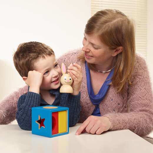 Smart Games Bunny Magic Box 2 years old + Montessori early education educational toys graphic space enlightenment building blocks birthday gift