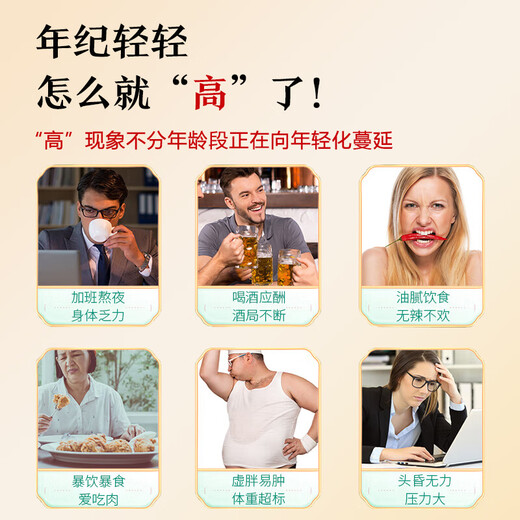 同仁堂玉米须桑叶茶青钱柳叶决明子牛蒡根陈皮泡水喝的养生茶176g