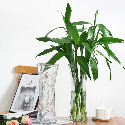 Lucky bamboo glass vase hexagonal living room water culture flower arrangement hydroponic lily vase large ornamental vase for home 25 high hexagonal vase tulip style 1
