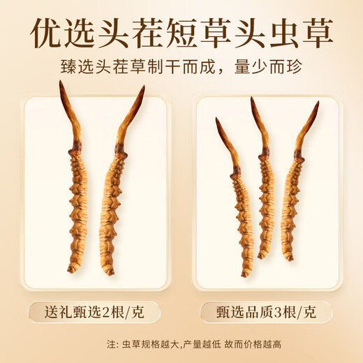 万草康仁冬虫夏草精选草藏区鲜干虫草滋补营养送母亲节礼物滋补品送长辈 3根/克 50g（礼盒装）送同款2g+藏红花*2