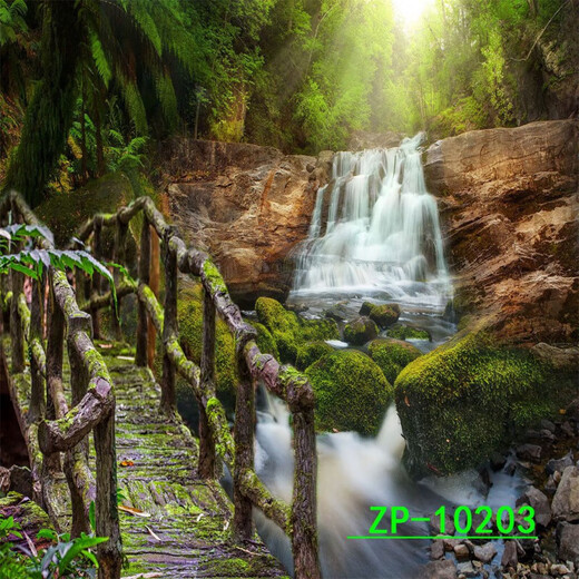 主播背景布3D立体网红直播间背景山水户外风景背景布 ZP-10975 3米宽+3米高