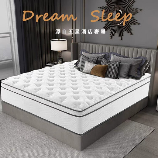 床垫席梦思1.8x2米海绵乳胶床垫子1.5x2米记忆棉加厚独立弹簧 适中稍硬:【客房舒睡】约20cm厚 1350mm*1900mm