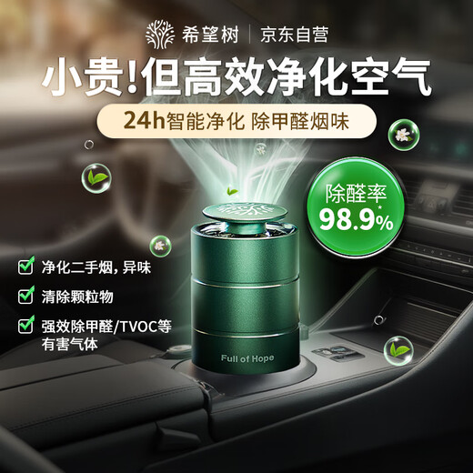Hope Tree Auto-Formaldehyd-Entfernung, Luftreinigung, Geschenkbox, Neuwagen-Formaldehyd-Entfernung und Geruchsentfernung, Desodorierung des Autoinnenraums, Auto-Aromatherapie