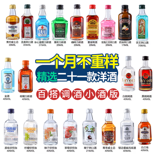 Martin Bucks Buffet Basis Weinset kleiner Flaschen Convenience Store Alkohol Whisky Wodka kleine Flasche leicht betrunkenes Feen leicht betrunkenes Spiel [50 ml*6 Stück]
