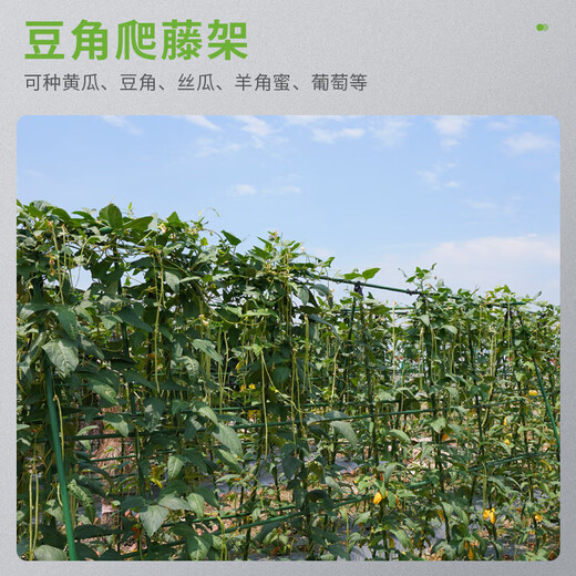 Plastic-coated steel pipe gardening support pole, cucumber, beans, grapes, vegetable climbing pergola, green plant rack, climbing frame, diameter 11mm, length 180cm, 10-pack