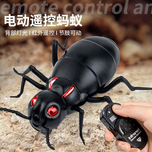 QISEN electric toy remote control ant simulation machine that can walk 2-4 year old boys, babies and girls can crawl children's gifts Classic version - remote control ladybug red model 9922+ snail upgraded version with another 24 electronics