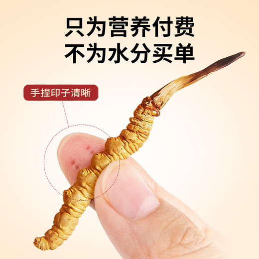 同芙 冬虫夏草3根/g 5g 15根礼盒装 滋补营养补品送长辈礼品礼物