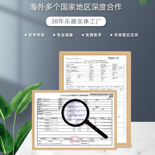 泰山泰山萨克斯TSAS-9901全系列考级专业演奏管乐器 TSAS-9901中音萨克斯