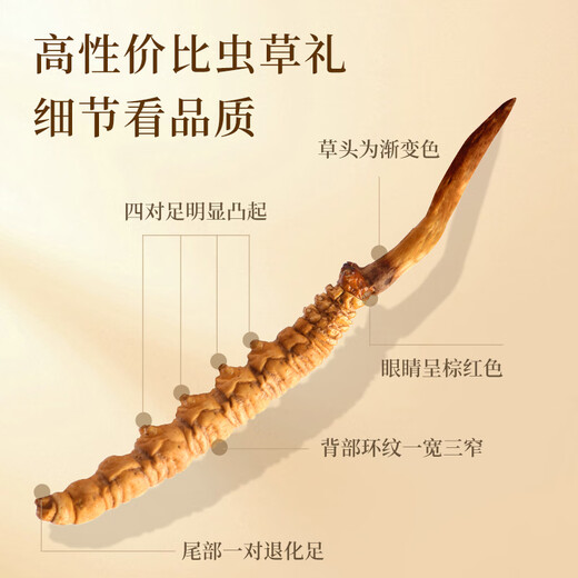 万草康仁冬虫夏草精选草藏区鲜干虫草滋补营养送母亲节礼物滋补品送长辈 3根/克 50g（礼盒装）送同款2g+藏红花*2