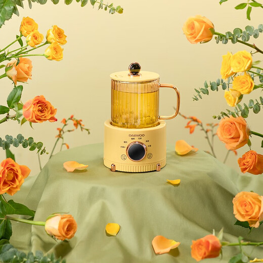 DAEWOO mini health cup office home multifunctional health cup tea maker hot milk