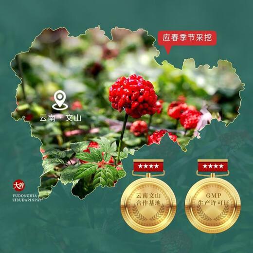 Fudonghai Panax notoginseng Powder Official Yunnan Authentic Wenshan Special Cresp 37 Pureed Pure Puree Tian Qitou Ultrafine Powde Tea Tea Water 250G/CAN