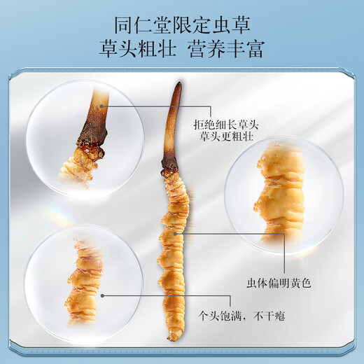 Tongrentang Brand Beijing Tongrentang Fresh Cordyceps Cordyceps Fresh Cordyceps Boîte cadeau Unbreakable Grass Cadeaux aux anciens 1 boîte 81G 3A Cordyceps frais 100 0,8-1g / pièce / pièce