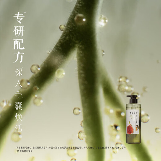 Recette de cheveux Recette de cheveux Fig Fluffy Shampooing Huile Contrôle de contrôle de l'huile 280 ml Anti-dandroffes rafraîchissantes Huile sans silicone pour hommes et femmes