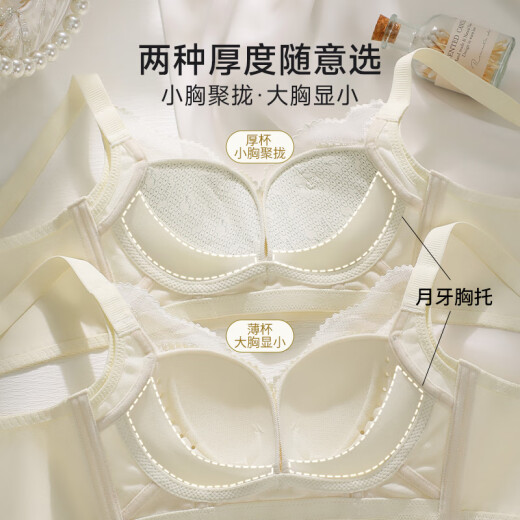 都市丽人女士内衣女生无钢圈文胸小胸显大内衣女聚拢防下垂收副乳上托胸罩