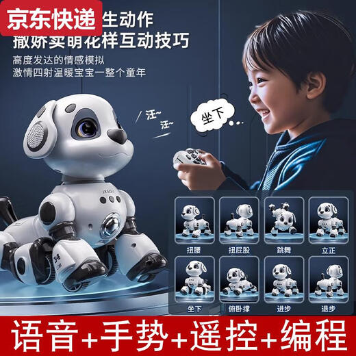 Qilicai 2025 Intelligente Roboter Hund Kinder Spielzeug Jungen Elektrische Fernbedienung Roboter Beleuchtung Musik Geburtstagsgeschenk Klassische Sprach-Touch-Version Trilithium Batterie-Upgrade Große Nummer