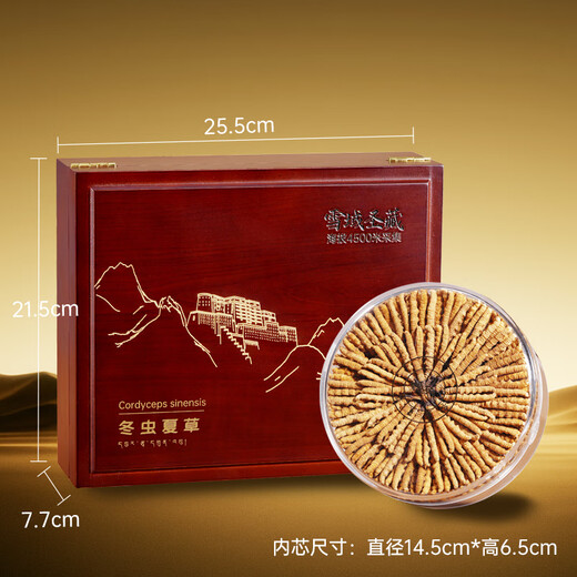 藏汐堂冬虫夏草2根/g 50克 100根装头茬虫草大规格干虫草滋补礼盒