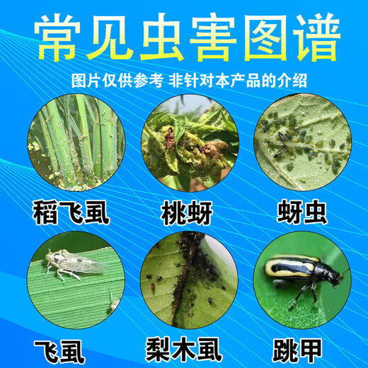 70%吡虫啉杀虫剂吡虫啉蚜虫药果蔬花卉甘蓝桃树打抗性蚜虫农药 2克装10袋