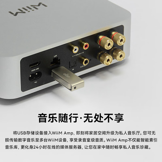 Amplificateur numérique Wiim Amp pro