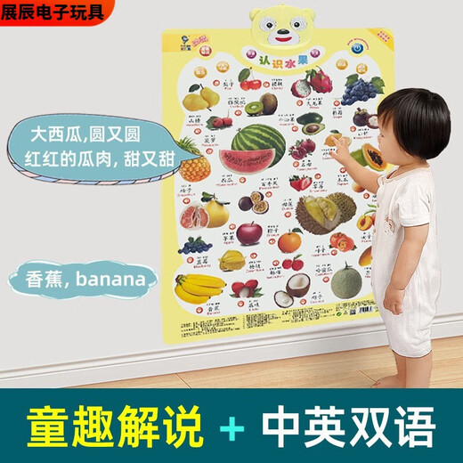Pupan Baby Audio Early Education Poster Fruits and Vegetables Infants and Children Cognitive Speaking Voice Toys Wall Sticker Two Front Animals + Reverse Seabed