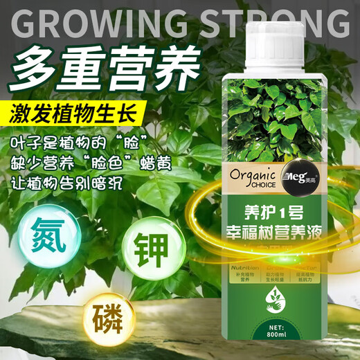 OUOETY leaf spot disease happy tree special fertilizer nutrient solution for flower cultivation, dry and fallen leaves hydroponic potted plant resurrection liquid happy tree nutrient solution 800ml*2 bottles