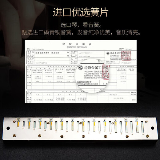国光正品国光口琴24孔复音C调初学者入门男女28孔重音专业演奏级乐器 28孔黑色复音C调+自学手册