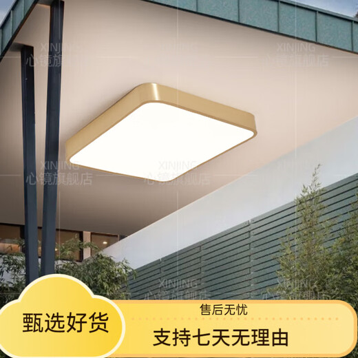 溥覃全铜户外吸顶灯别墅超薄入户门灯走廊过道阳台灯露台防蚊虫庭院灯 X3893-600*800/长方形