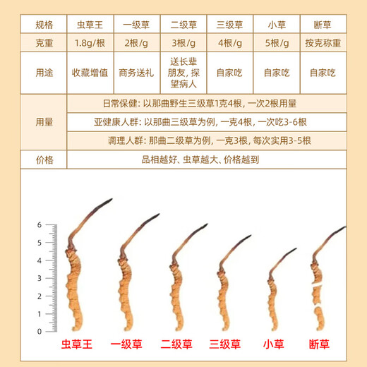 观采归西藏那曲野生冬虫夏草鲜虫草补品送长辈老年人营养礼盒礼品实用 野生头茬鲜草约0.5g/根 30根