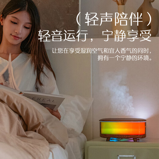 Seguo's new aromatherapy machine humidifier atmosphere night light home desktop small spray humidifier essential oil diffuser light sound operation creative and practical Christmas birthday gifts for men and women H27 aromatherapy machine can write greeting cards + high-spirited gift bags