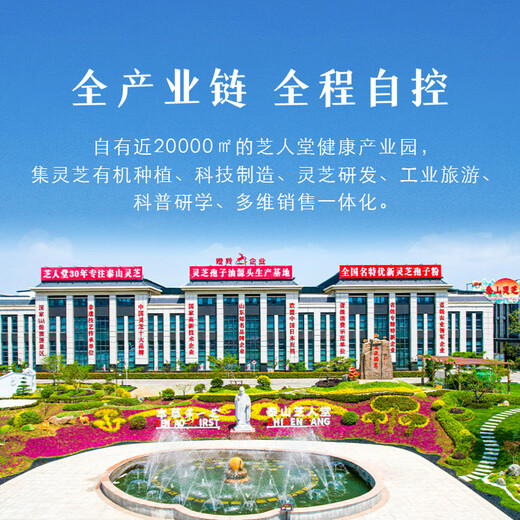 芝人堂（ZHIRENTANG）破壁灵芝孢子粉胶囊0.3g/粒*100粒滋补增强免疫力补品 单盒装（专业客服指导）