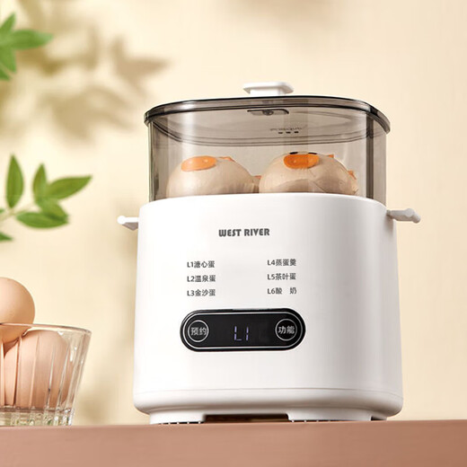 Egg cooker, steamer, electric steamer, small stewing and steaming all-in-one small steamer, omelette pot, small steamed egg artifact, household dormitory electric frying pan, small appliance, small electric cooker, double layer, with steamed egg rack + stainless steel custard bowl, 6 major functions