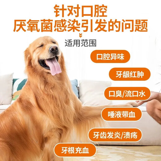 Pointe Catuli Metronidazole Tablets Dog Oral Ulcer Pet Bad Breath Stomatitis Gums Redness, Swelling and Pain Periodontitis Catuli Metronidazole Tablets