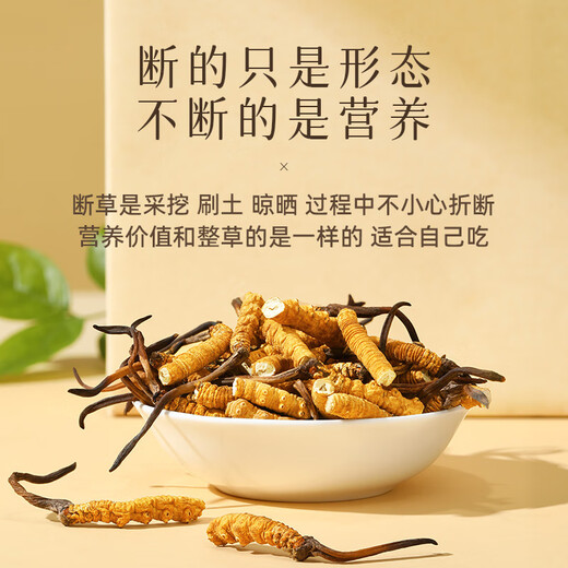 Ren Shiwenwen Wild Cordyceps sinensis, Tibet Naqu Broken Cordyceps selection quality, self-use and affordable family nourishment, high-end gift [wild] Selected Big Broken Grass 1 gram [Introduction to nourishment]
