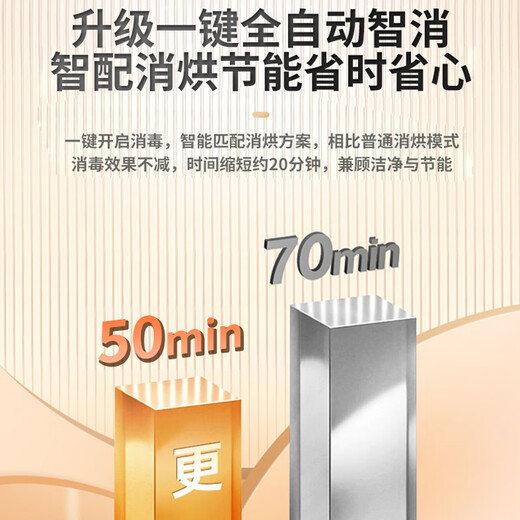 Hangyi Haotaitai Disinfection Cabinet Embedded Home 15% National Subsidy Small Kitchen Tableware Multifunctional Large Capacity High Temperature Disinfection Cupboard Two-Star 100L Two-Layer 4-Button High-Temperature Disinfection + Drying Function