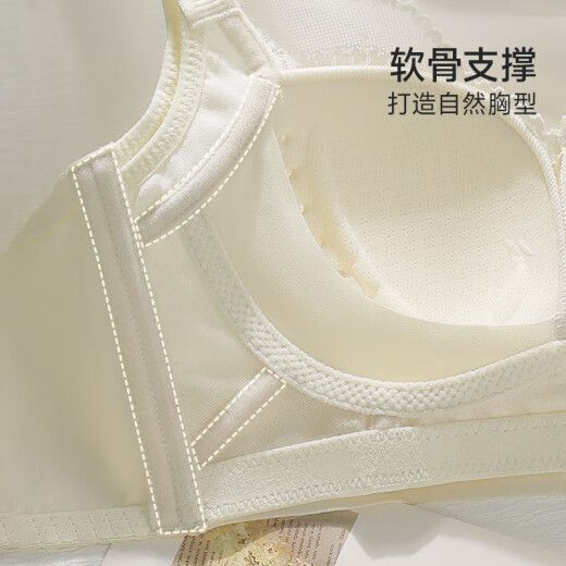 都市丽人女士内衣女生无钢圈文胸小胸显大内衣女聚拢防下垂收副乳上托胸罩