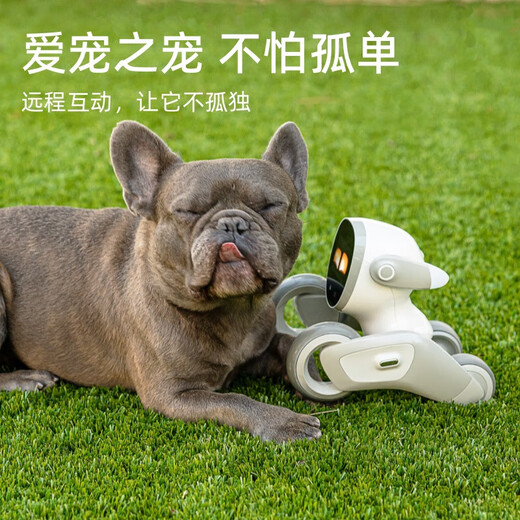 可立宝（Clicbot）机器人 可立宝Loona机器狗 AI具身智能机器人 儿童编程学习机器人 CES创新奖语言切换互动早教玩具 回充套装(loona机器狗+回充座)