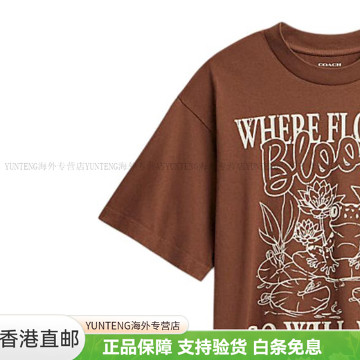 蔻驰（COACH）FW24字母满印圆领宽松短袖T恤男款褐色时尚轻便百搭潮流 褐色 S