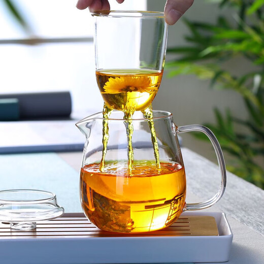 Qinkai heat-resistant high temperature glass teapot filtered thickened transparent single pot small floral teapot household tea water separation glass penguin teapot 500ml