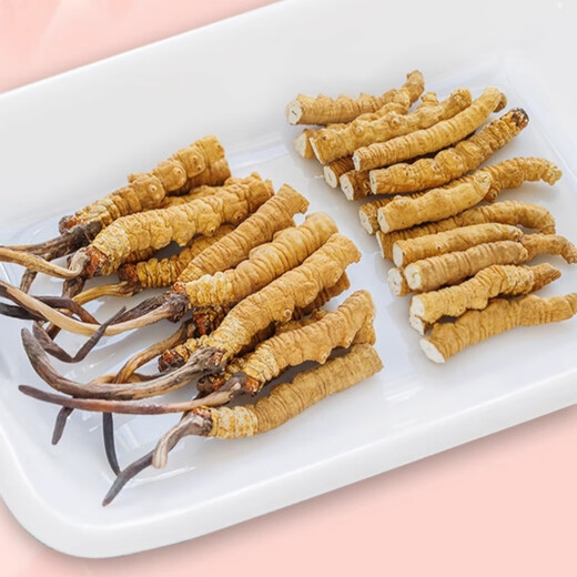 Cordyceps sinensis selection of Cordyceps sinensis gift box tonic for Cordyceps sinensis pure meat festival wine nutritional products 10 grams of pure meat section Cordyceps sinensis [11 grams in total]