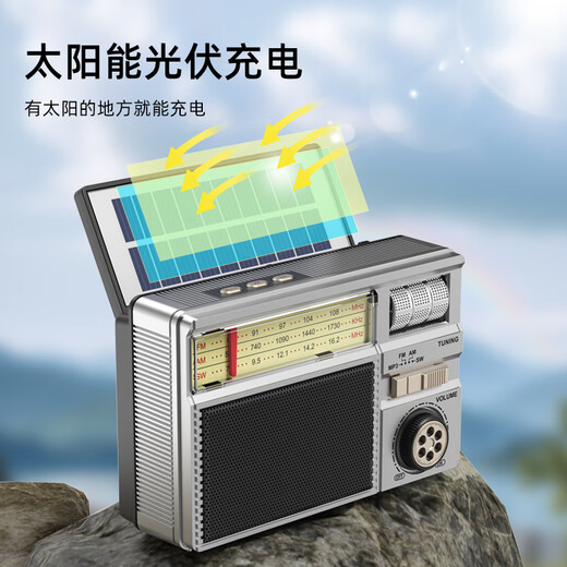 Dili Radio for the Elderly Rechargeable Solar Plug-in Card Bluetooth Mini Speaker for the Elderly 2025 New Portable Full-band FM Parents Birthday Gift Silver Gray Solar/Plug-in Card/U Disk/Bluetooth