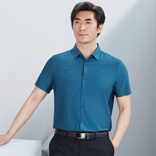 
Hongdu Summer New Short Sleeve Shirt Men's Thin Striped Nylon Fabric Middle-aged Men's Daddy Half Sleeve Shirt Bangzhiqing tm6630-1 One Size 170/88A