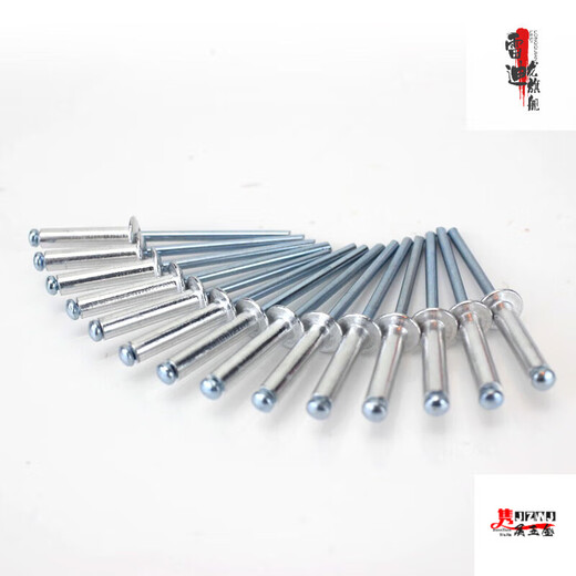 Lishi Batch Core Pulling Rivet Rivet Rivet Aluminium Rivet Round Head Center Pulling Rivet Willow Nail Pulling Nail M 2.4 * 91000 Pack