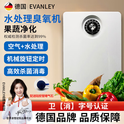 EVANLEY German ozone generator disinfection machine household air purifier water treatment efficient sterilization and disinfection deodorization and odor drinking water fruit and vegetable cleaning to remove pesticide residues 2000mg water treatment model-4 liters