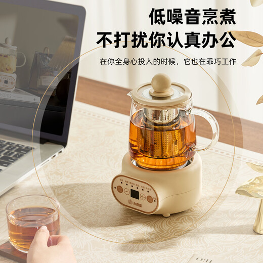 Small pumpkin health pot multifunctional fully automatic tea maker mini household kettle electric kettle thermostatic kettle teapot home appliance teapot water boiler decocting medicine kettle kettle glass kettle top version with filter + coaster + spoon 0.5L
