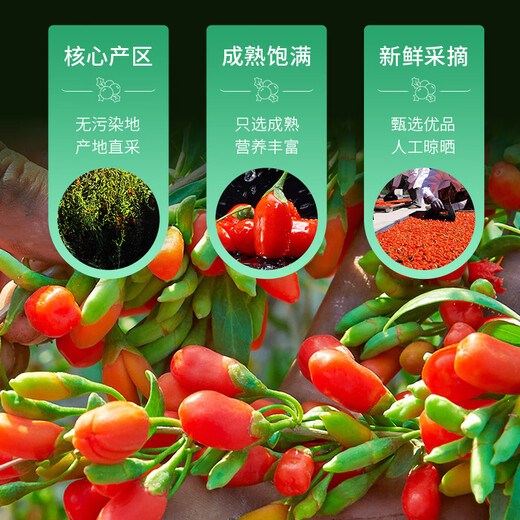 贡苑【32包独立小包】宁夏大红枸杞子250g原产大份量搭金银花菊花茶叶