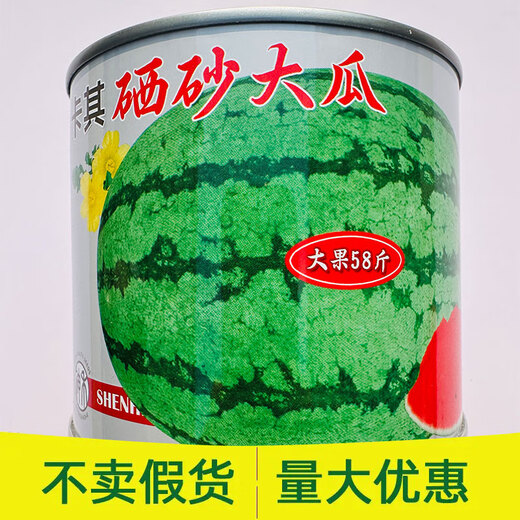Khaki Selenium Sand Large Melon Seeds Oval Flower Skin Seed Lazy Man Watermelon Seeds Fusarium Wilt Resistance Resistant to Repeated Cropping Selenium Sand Large Melon 70g Canned