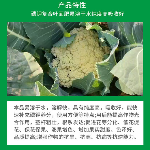 Byward Potassium Dihydrogen Phosphate Potassium Fertilizer Phosphate Fertilizer Compound Fertilizer Flower Fertilizer Water-soluble Fertilizer Plant Flowers 1kg+Candy Watering Can