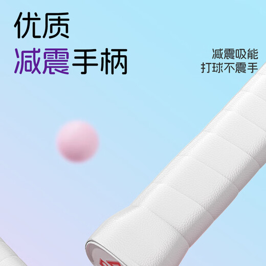 Raquette de badminton PEAK, ultra-légère, équilibre offensif et défensif, raquette d'entraînement pour étudiant adulte, résistante aux coups, alliage d'aluminium pour débutants, anti-casse, résistante aux coups, violet et vert, 6 balles gratuites, 2 colles à main, ensemble de raquettes de badminton