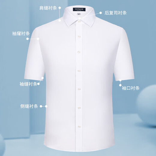 Colaire à manches courtes en coton pour hommes Yager en été Nouveau format commercial de banlieue d'âge moyen Couleur Couleur sans fer purpre-stripe-6624 SHORT 38 100-120JIN [Jin est égal à 0,5 kg]