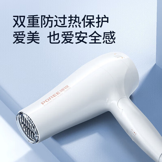 FLYCO hair dryer household hair dryer portable high-power quick-drying hair dryer constant temperature hair care does not damage hair in strong winds FLYCO Borui 2000W high power PH1626